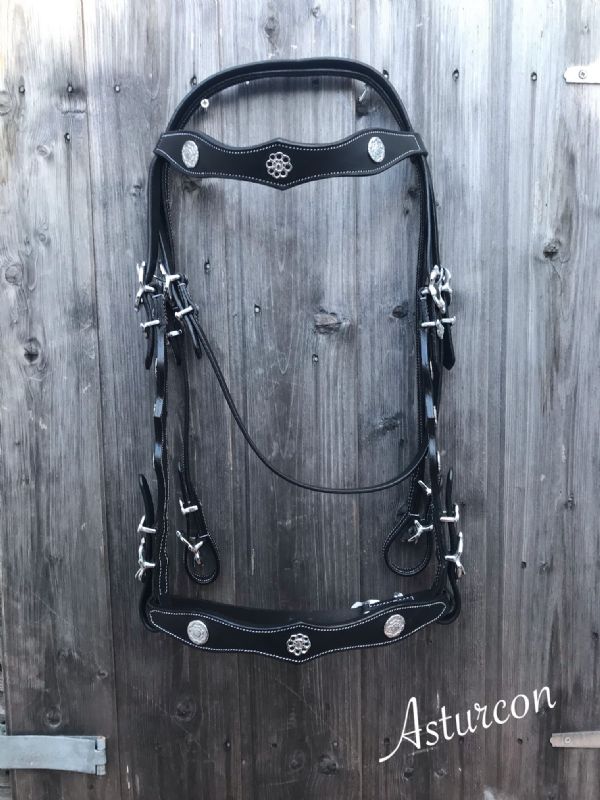 Zardan Portuguese Bridle